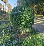IMG_20241109_125348_PRCWzy933x.jpeg