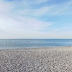 IMG20241110100013_ea16PSQi6R.jpeg