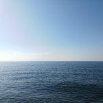 IMG20241112115215_ydZcX4rc9g.jpeg