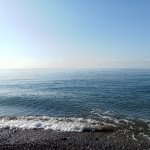 IMG20241112110233_IpttnTXO3m.jpeg