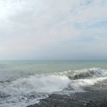 IMG20241114113032_A5DDgluG2D.jpeg