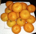 IMG_20241117_093420_LtLGAzfQ3d.jpeg