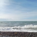 IMG20241123114619_7bDGOHqF25.jpeg