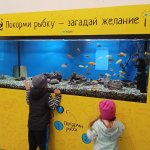 IMG20241123184945_akhZA5hk3i.jpeg