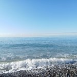 IMG20241129105041_EH9A8Gec7r.jpeg