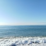 IMG20241129112911_kaHpqGNX53.jpeg