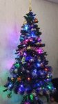 IMG_20241225_192255_1MptsUbt9q.jpeg