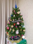 IMG_COM_20241231_1820_44_6472.jpg