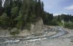 DSC06786w.jpg