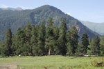 DSC06669w.jpg