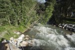 DSC06671w.jpg