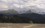 DSC06717w.jpg