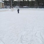 IMG20250222110846_2WxeqLuV1a.jpeg