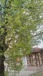 IMG20250405110003_tmiFVYKg9s_FOZ5xfw227_Y8PjnRFV08_Eph2ATQY4z.jpeg