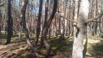 IMG20250406143217_VKMPhexS5T.jpeg