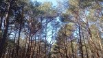 IMG20250406143242_TLkxn1fX3e.jpeg