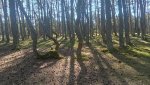 IMG20250406143747_mrqWRiWZ4n.jpeg