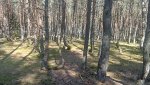 IMG20250406143917_8RyM4JYt2i.jpeg