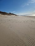 z2_20250408_13405533.jpg
