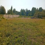 IMG_20250715_105419.jpeg