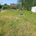 IMG_20250715_105432.jpeg