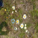 IMG_20250715_123755.jpeg
