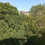 IMG_20250716_145830.jpeg