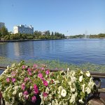 IMG_20250716_122106.jpeg