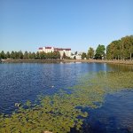 IMG_20250716_173535.jpeg