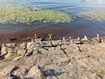 IMG_20250716_184628.jpeg