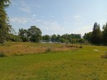 IMG_20250717_112642.jpeg