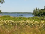 IMG_20250717_121105.jpeg