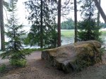 IMG_20250717_123643.jpeg