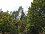 IMG_20250717_124947.jpeg