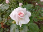 IMG_20250717_125316.jpeg