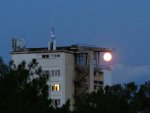 IMG_1292 Лунный вечер в Пицунде.JPG