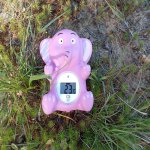 IMG_20250814_183435.jpeg