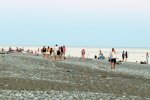 IMG_1324.JPG