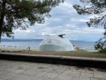 IMG_5285.jpeg
