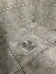 IMG_5345.jpeg