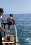 IMG_5431.jpeg