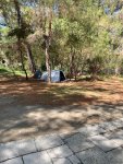 IMG_5493.jpeg