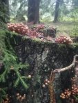 IMG-20250831-WA0000.jpeg