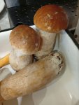 IMG_20250831_090613.jpeg