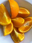 IMG_5528.jpeg