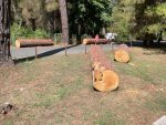 IMG_5516.jpeg