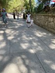IMG_5541.jpeg