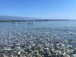 IMG_5555.jpeg