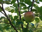 IMG_20250902_154418.jpeg