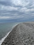 IMG_5599.jpeg